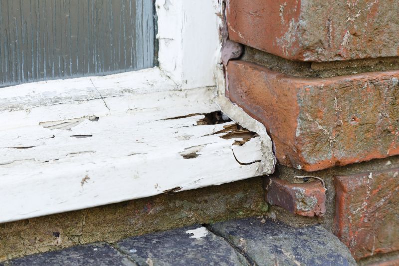Dry Rot Repair Services