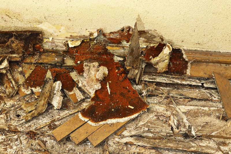 Decay Repair Service in Conroe, TX