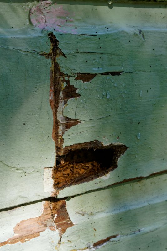 Decayed Wood Replacement in Olathe, KS
