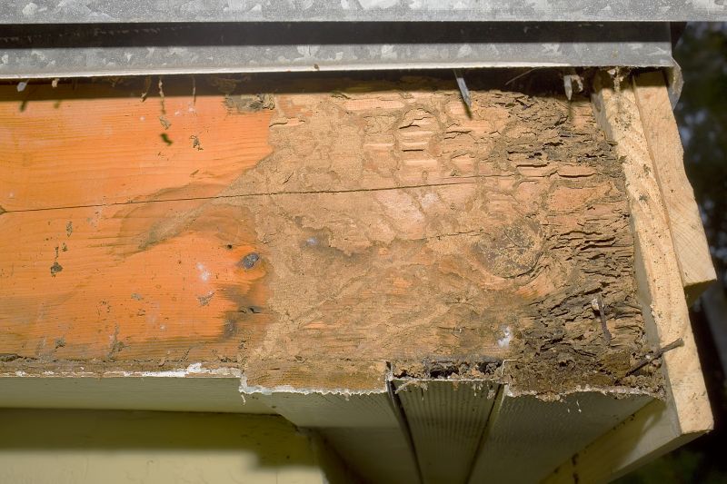 Dry Rot Remediation in Kansas City, KS