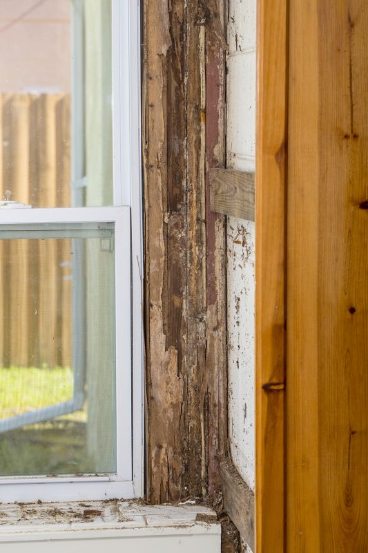 Pest Damage Repair in Olathe, KS