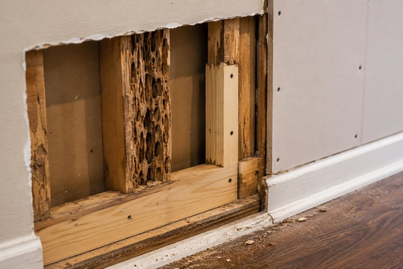 Pest Damage Repair in Longmont, CO