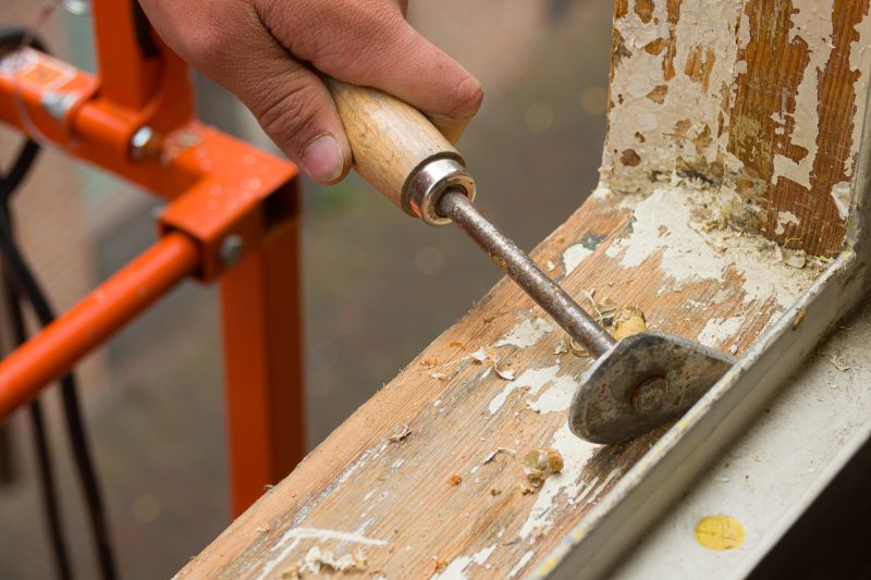 Rot Repair Service in Boulder, CO