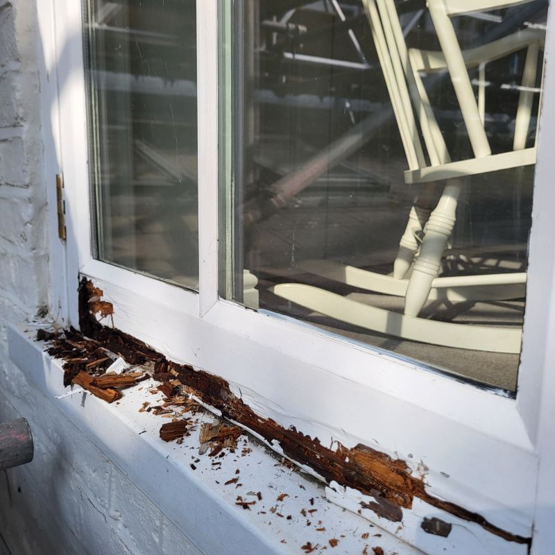 Wood Decay Removal in Olathe, KS