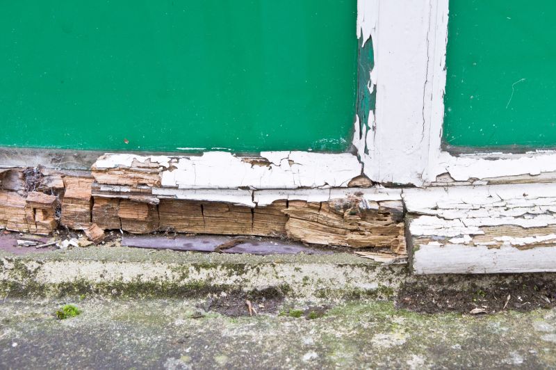 Wood Decay Removal in Roswell, GA