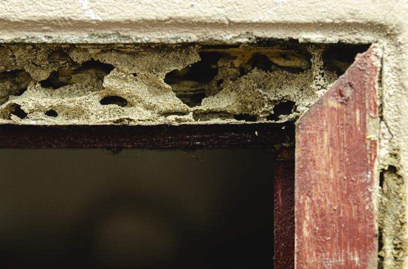 Wood Decay Repair in Conroe, TX