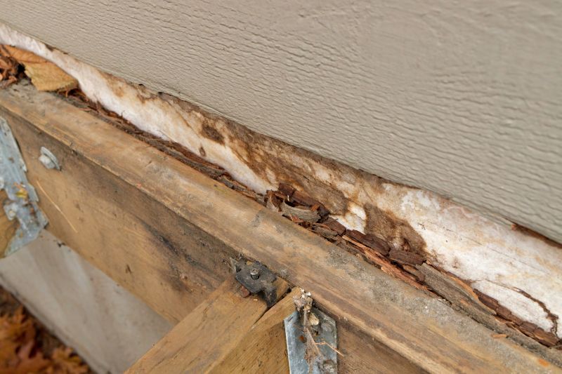 Wood Rot Removal in Longmont, CO
