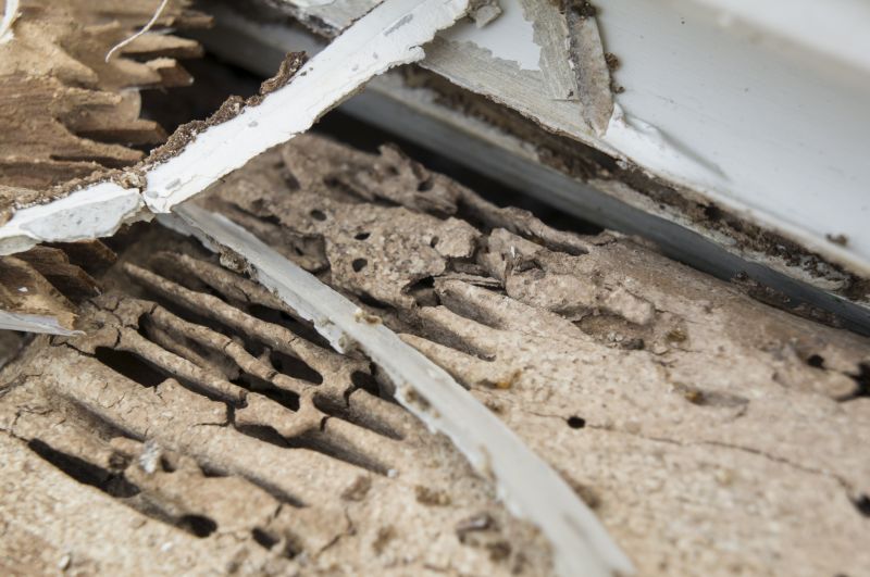 Wood Rot Removal in Kansas City, MO