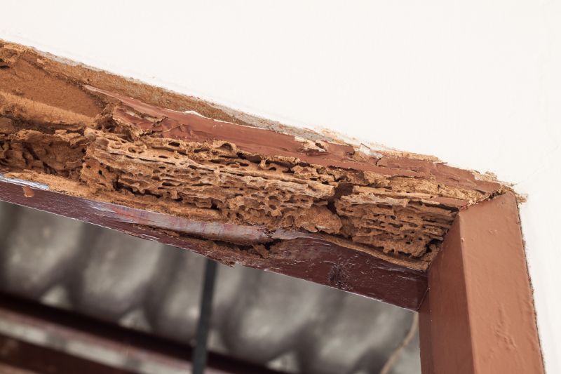 Wood Rot Removal in Alpharetta, GA