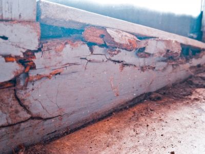 Get Dry Rot Repaired!