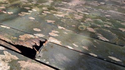 Get Floorboards Repaired from Dry Rot!